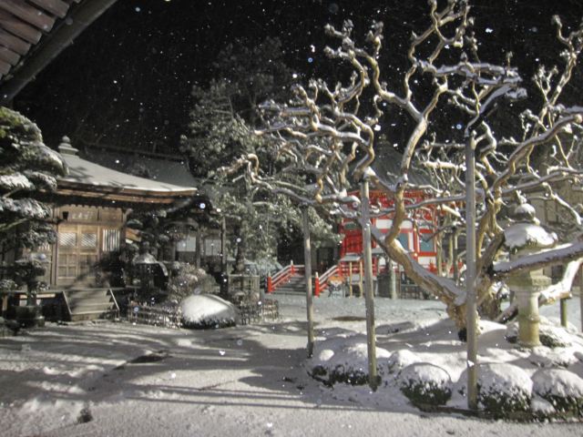 高野山真言宗別格本山普賢院　冬の境内・サルスベリ