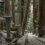 landscape-4861153__480