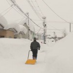 K10012797931_2101051646_2101051653_01_02