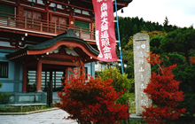 �D�c�搶����02